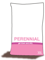 Perennial